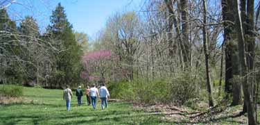 Several walkers pass by trees in spring, Northern detachments route and campground area near Campground Church, Union County, Illinois